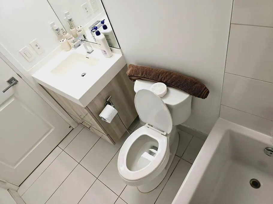 Stylish Luxe Apartment 1 Bedrom With Sofa Bed トロント