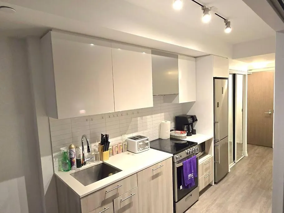 Stylish Luxe Apartment 1 Bedrom With Sofa Bed トロント 0*,  カナダ